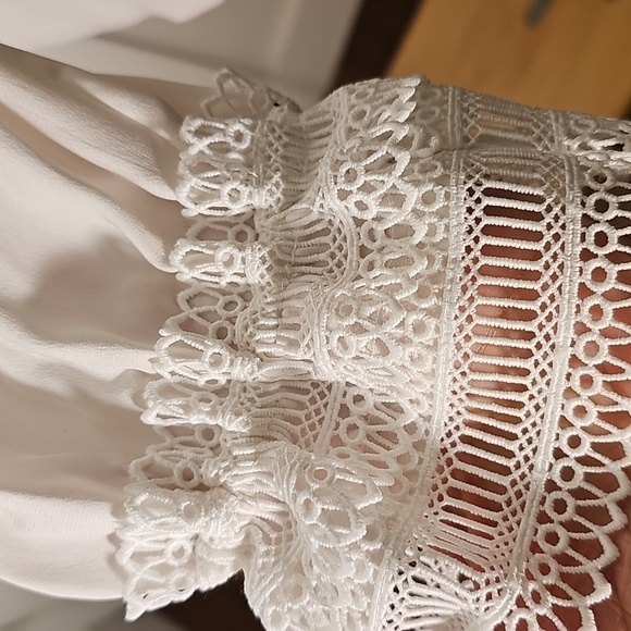 Carlisle 100% Silk Long Sleeve With Lace Blouse. Size 14. Elegant - Picture 6 of 12